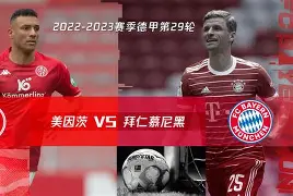 美因茨 主帅